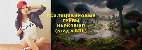 apvp Ладушкин